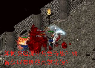 ��ο���������ɫ�ȼ���װ����ȡ����Щ��Ч;����