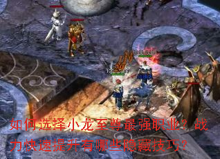 ���ѡ��С��������ǿְҵ��ս��������������Щ���ؼ��ɣ�