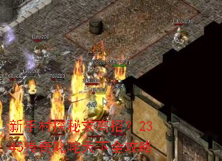 ���ִ�̽������У�2345����߳������ȫ����