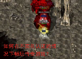 ����ڲ�ʵ����֤������³��洫����Ϸ��