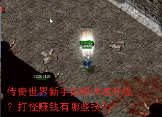 ��������������ο������������׬Ǯ����Щ���ɣ�