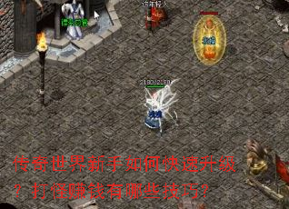 ��������������ο������������׬Ǯ����Щ���ɣ�