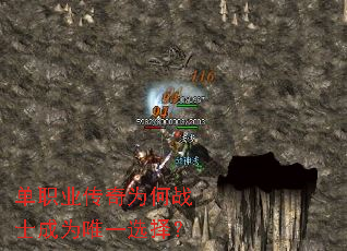 ��ְҵ����Ϊ��սʿ��ΪΨһѡ��