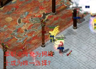 ��ְҵ����Ϊ��սʿ��ΪΨһѡ��