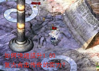 ��ο�������1.80���źϻ������ʵ����