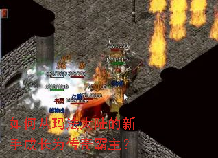 ��δ��귨��½�����ֳɳ�Ϊ���������