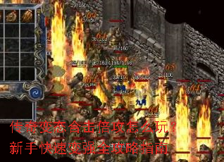 �����̬�ϻ�������ô�棿���ֿ��ٱ�ǿȫ����ָ��