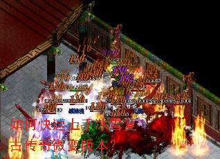 ��ο������ֱ�ѩ���Ŵ���΢��汾��