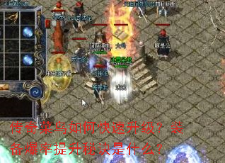 传奇菜鸟如何快速升级?装备爆率提升秘诀是什么? 传奇菜鸟如何快速升级?装备爆率提升秘诀是什么?