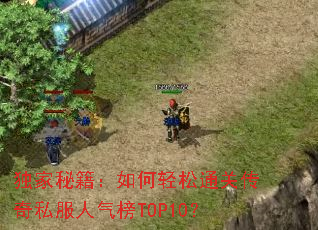 �����ؼ����������ͨ�ش���˽��������TOP10��