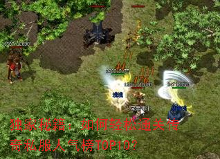 �����ؼ����������ͨ�ش���˽��������TOP10��