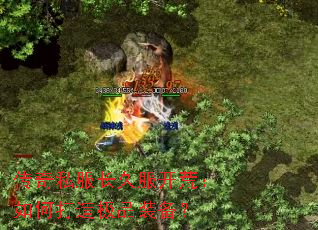 ����˽�����÷����ģ���δ��켫Ʒװ����