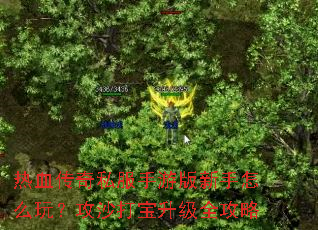 ��Ѫ����˽�����ΰ�������ô�棿��ɳ������ȫ����