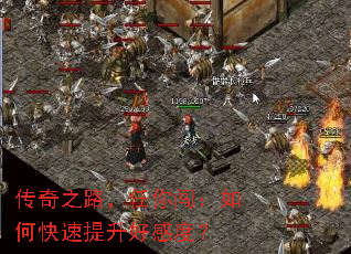 ����֮·�����㴳����ο��������øжȣ�