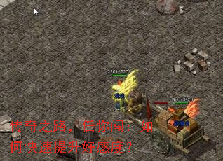 ����֮·�����㴳����ο��������øжȣ�