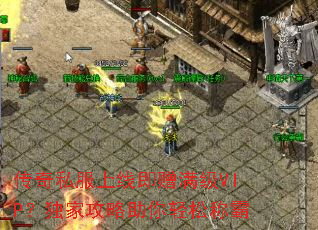 ����˽�����߼�������VIP�����ҹ����������ɳư�