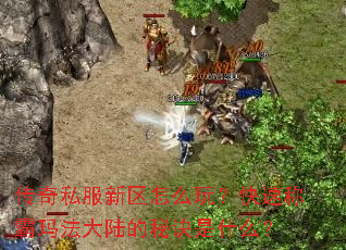 ����˽��������ô�棿���ٳư��귨��½���ؾ���ʲô��