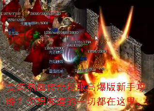 ��̬��Ѫ����˽���߱������ֹ��ԣ�����֪����һ�ж������