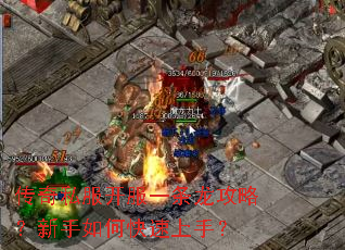 传奇私服开服一条龙攻略?新手如何快速上手? 传奇私服开服一条龙攻略?新手如何快速上手?