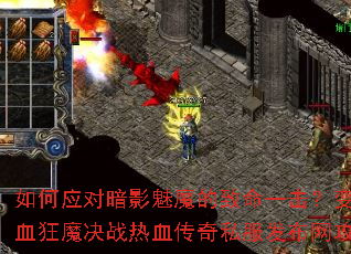 ���Ӧ�԰�Ӱ��ħ������һ������̬��Ѫ��ħ��ս��Ѫ����˽������������