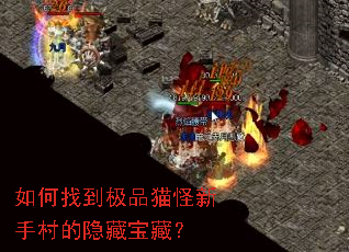 如何找到极品猫怪新手村的隐藏宝藏? 如何找到极品猫怪新手村的隐藏宝藏?