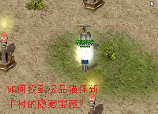 如何找到极品猫怪新手村的隐藏宝藏? 如何找到极品猫怪新手村的隐藏宝藏?