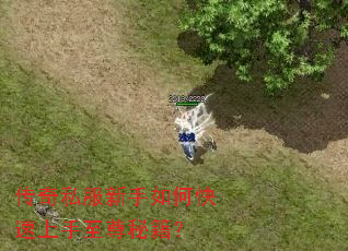 传奇私服新手如何快速上手至尊秘籍? 传奇私服新手如何快速上手至尊秘籍?