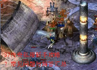 37传奇私服新手攻略?常见问题与解答汇总 37传奇私服新手攻略?常见问题与解答汇总