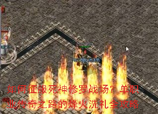 ���������������ս������ְҵ����֮·�ķ��ϴ��ȫ����