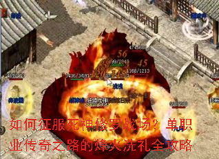 ���������������ս������ְҵ����֮·�ķ��ϴ��ȫ����