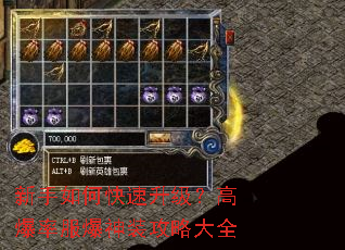 新手如何快速升级?高爆率服爆神装攻略大全 新手如何快速升级?高爆率服爆神装攻略大全