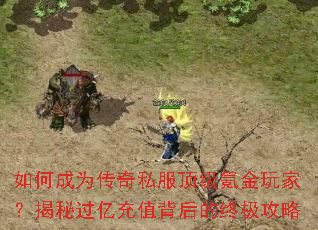 ��γ�Ϊ����˽������봽���ң����ع��ڳ�ֵ������ռ�����