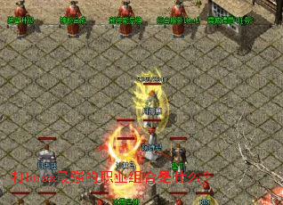 ��boss��ǿ��ְҵ�����ʲô��