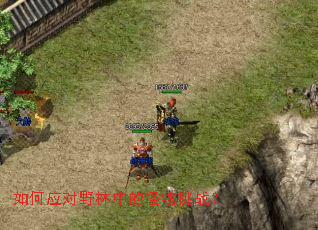 ���Ӧ��Ұ���еĹ�����ս��