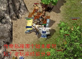 ����˽���ĸ��汾�����棿����Ҿ������