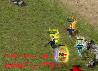 ��ο��������ȼ��������۷�֮·�к��ؾ���