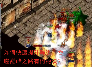 ��ο��������ȼ��������۷�֮·�к��ؾ���