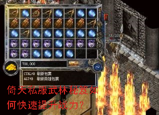 倚天私服武林秘笈如何快速提升战力? 倚天私服武林秘笈如何快速提升战力?