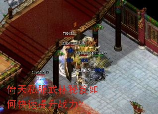 倚天私服武林秘笈如何快速提升战力? 倚天私服武林秘笈如何快速提升战力?