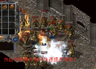 ��Ѫ����������ο��������ȼ���