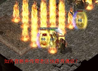 ������¿���������������������