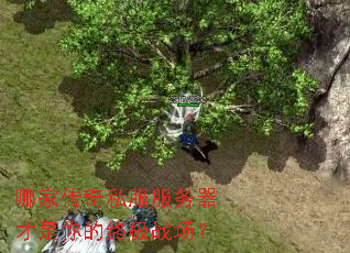 哪家传奇私服服务器才是你的终极战场? 哪家传奇私服服务器才是你的终极战场?