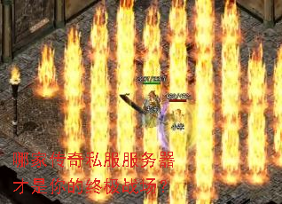哪家传奇私服服务器才是你的终极战场? 哪家传奇私服服务器才是你的终极战场?