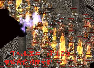 千年私服宝库:如何选择最适合你的传奇职业? 千年私服宝库:如何选择最适合你的传奇职业?