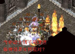 ����սʿʨ�Ӻ��������Ч�����Ӧ�ԣ�