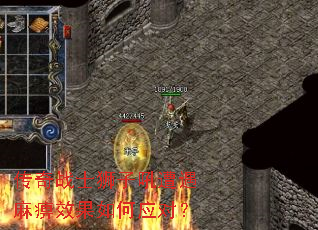 ����սʿʨ�Ӻ��������Ч�����Ӧ�ԣ�