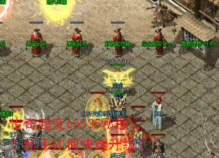 ���泬��65535˽����������ο���������