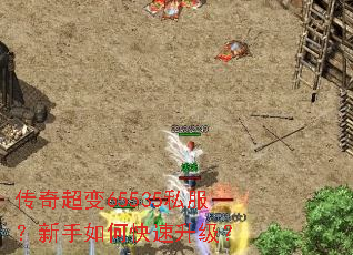 ���泬��65535˽����������ο���������