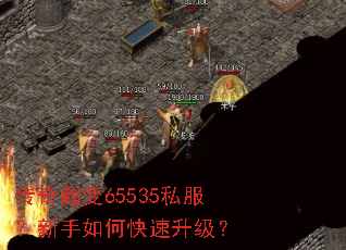 ���泬��65535˽����������ο���������