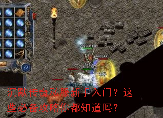 沉默传奇私服新手入门?这些必备攻略你都知道吗? 沉默传奇私服新手入门?这些必备攻略你都知道吗?